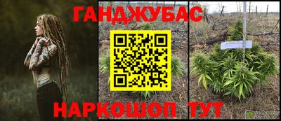 спайс Аргун