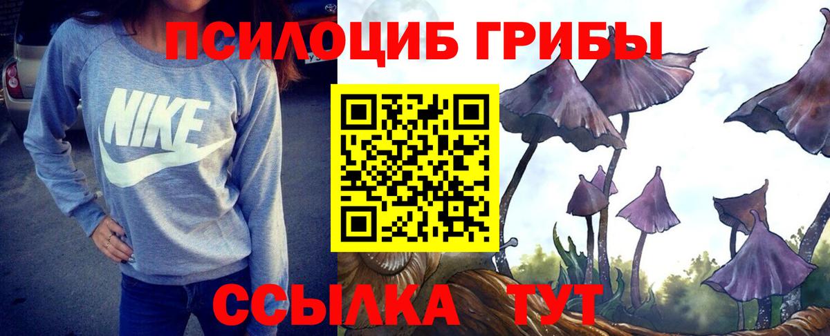 Галлюциногенные грибы Cubensis Южноуральск