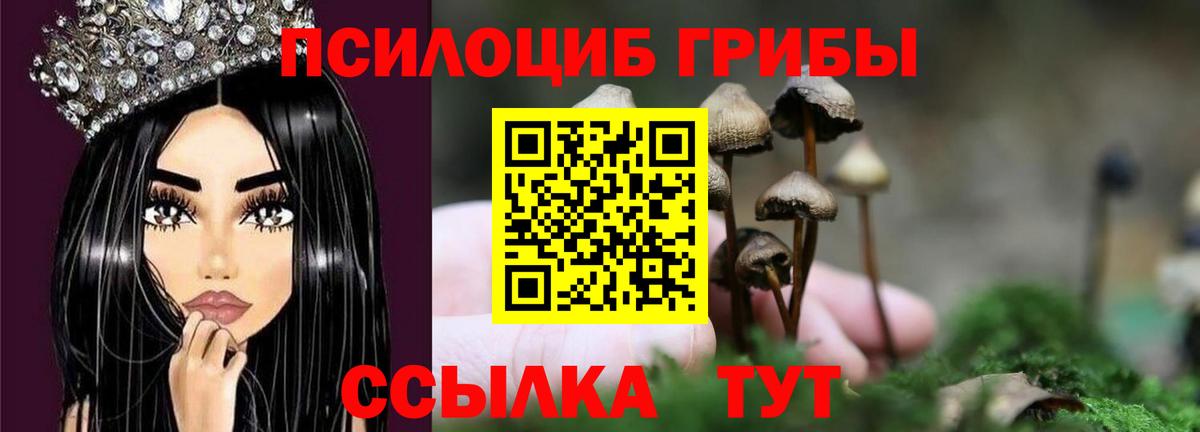 Псилоцибиновые грибы Cubensis Южноуральск